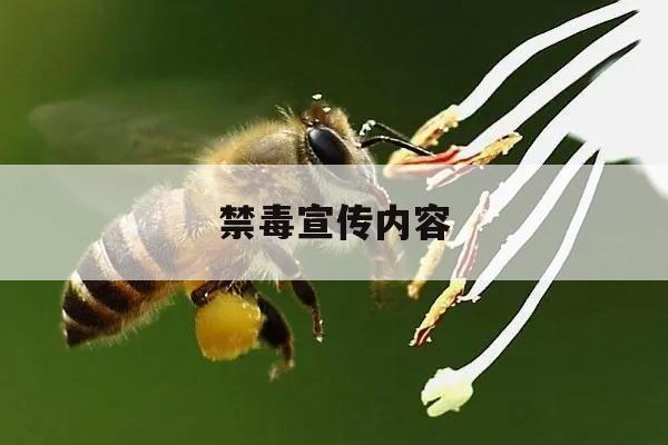 禁毒宣传内容 今冬明春禁毒宣传内容