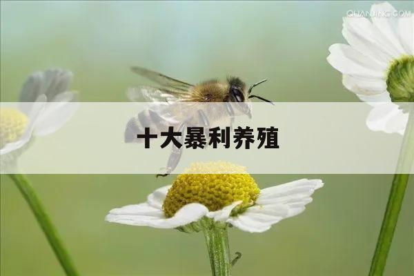 十大暴利养殖 十大暴利养殖2021