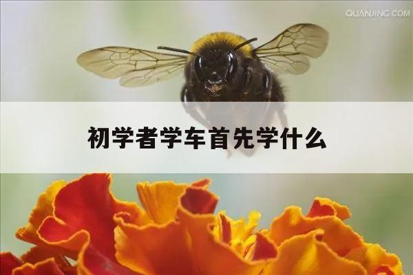 初学者学车首先学什么 初学者学车首先学什么车
