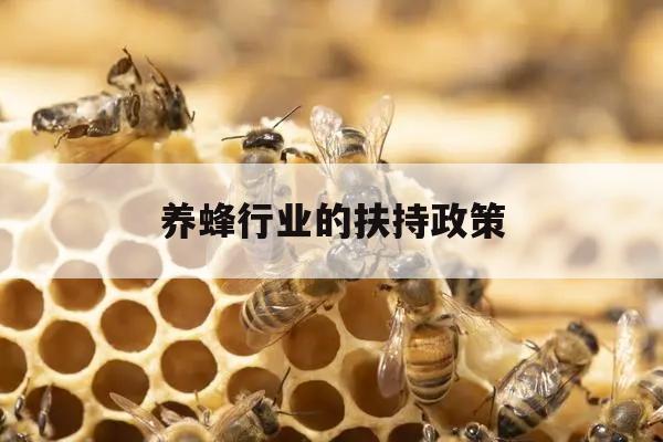养蜂行业的扶持政策 养蜂行业的扶持政策有哪些