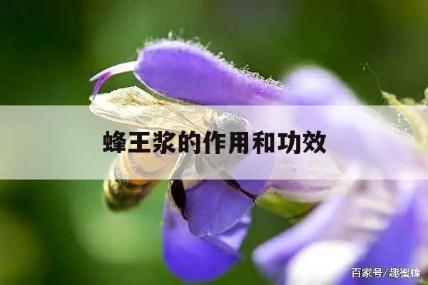 蜂王浆的作用和功效 蜂王浆的作用和功效女性