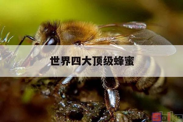 世界四大顶级蜂蜜 世界顶级蜂蜜排名