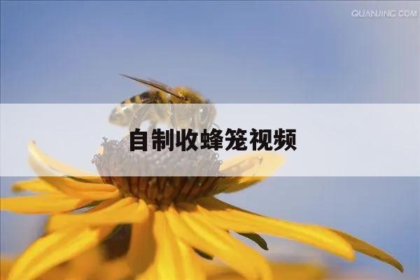 自制收蜂笼视频 怎样编织收蜂笼视频
