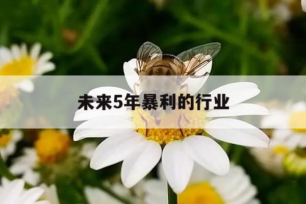 未来5年暴利的行业 
