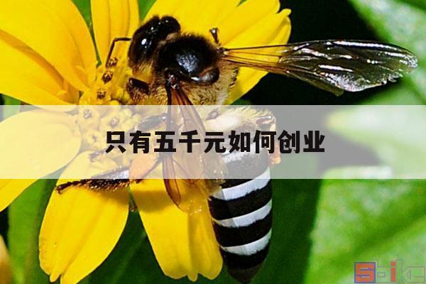 只有五千元如何创业 只有五千元如何创业贷款