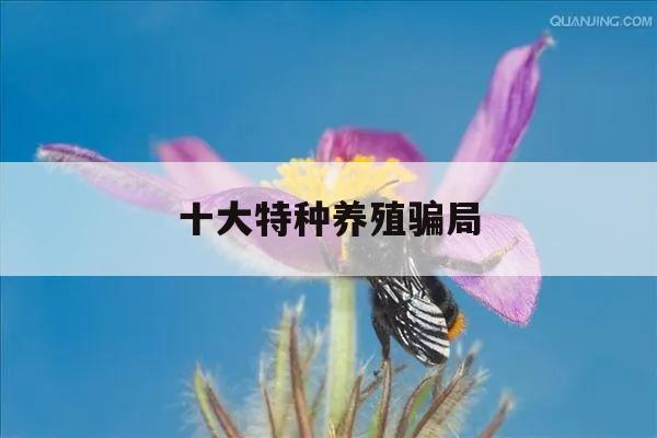 十大特种养殖骗局 一亩地种什么挣10万