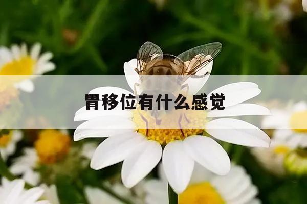 胃移位有什么感觉 胃部移位有什么反应